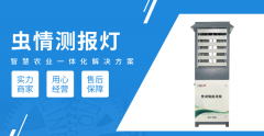 <b>农林虫情测报系统：科技守护绿色生态金叶智能</b>