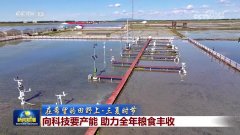 【正在但愿的郊野上·三夏时节】向科技要产能